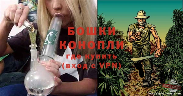 каннабис Инта