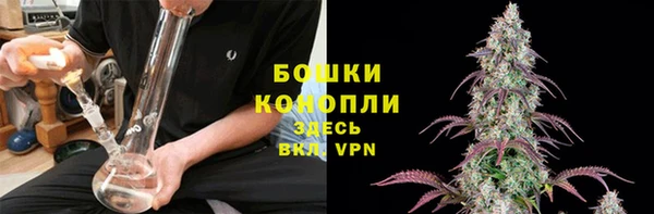 каннабис Инта