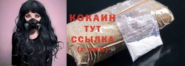 мет Инсар
