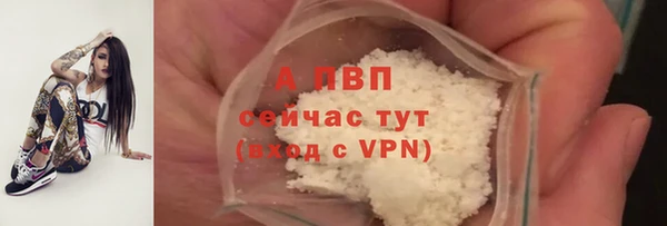 каннабис Инта
