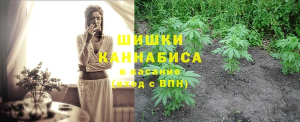 каннабис Инта
