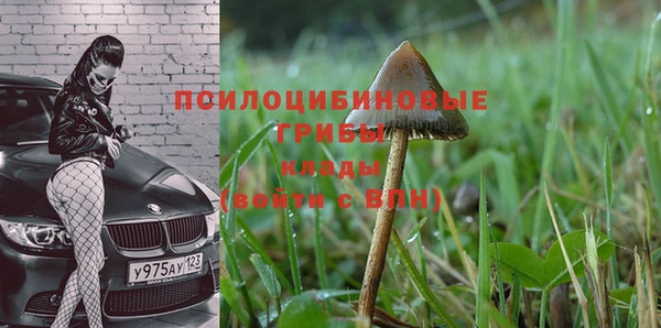 мет Инсар