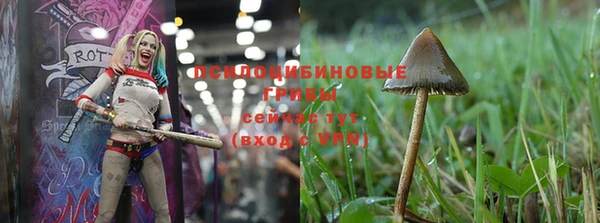 мет Инсар