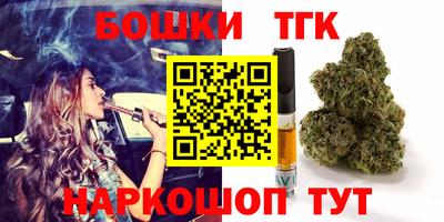 спайс Гагарин