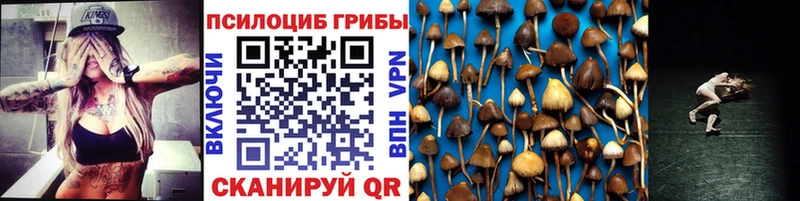 Псилоцибиновые грибы мицелий  Кудымкар 